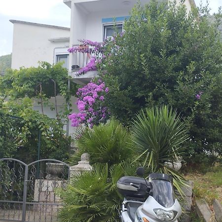 شقة Sobica 2 Petrovac المظهر الخارجي الصورة